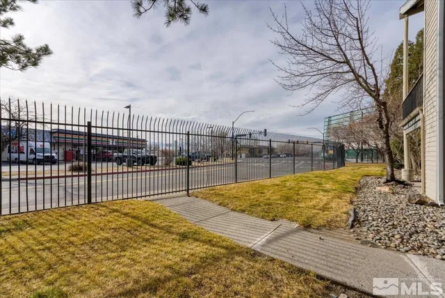 a view of backyard with tree
