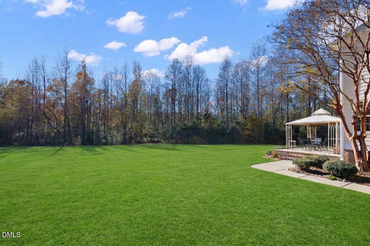 226 Marshview Circle Angier, NC 27501 - Photo 11 of 20 a view of a backyard with large trees