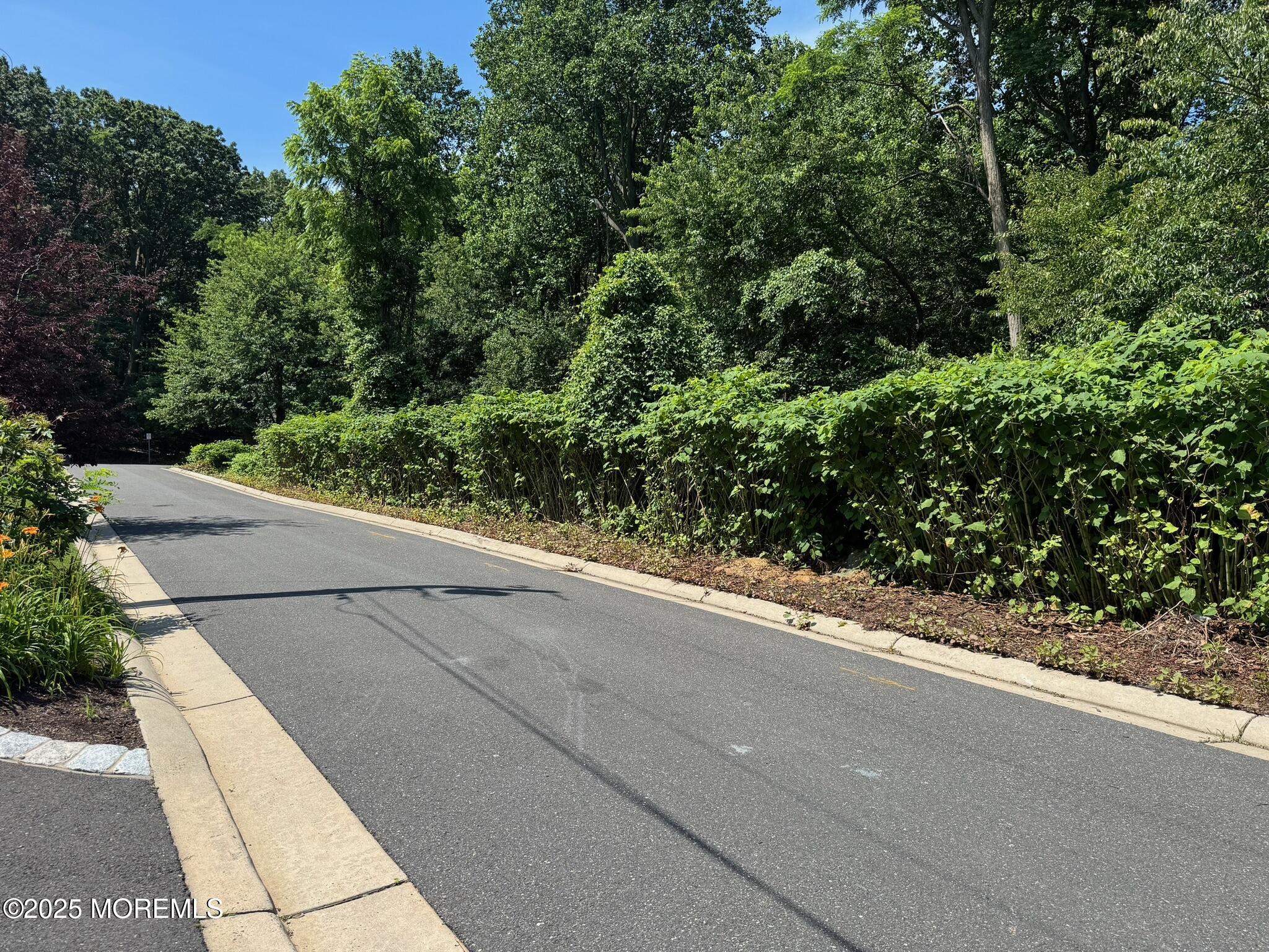 244 Van Kirk Avenue Atlantic Highlands, NJ 07716 - Photo 22 of 22 a view of a garden