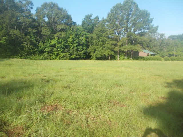 39883 T A Chastang Road Bay Minette, AL 36507 - Photo 1 of 5