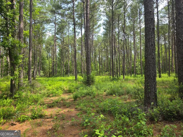 $50,000 | 0 Colby Drive, Dublin, GA 31021