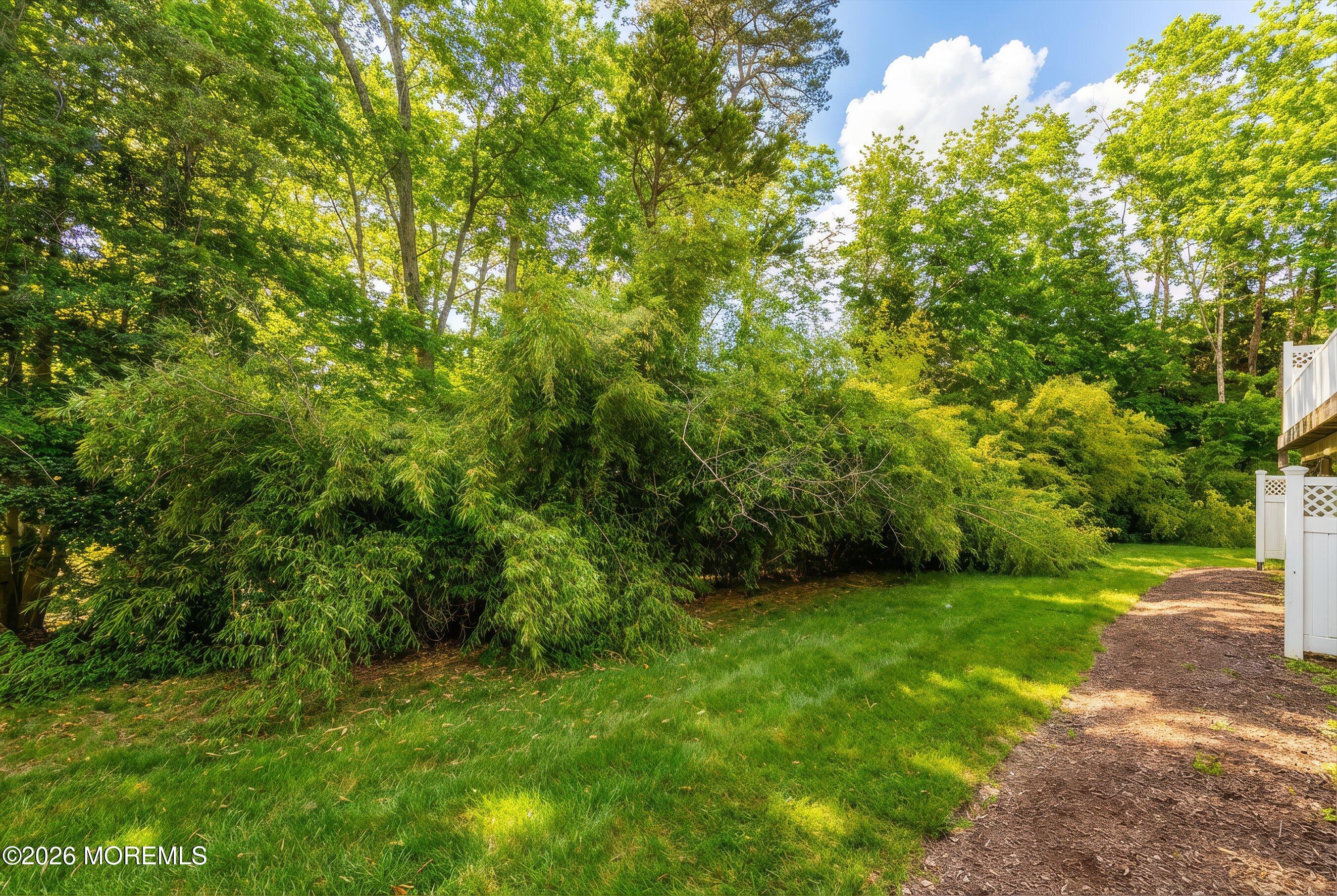 2409 Robin Way Manasquan, NJ 08736 - Photo 24 of 40 a view of a yard with a tree