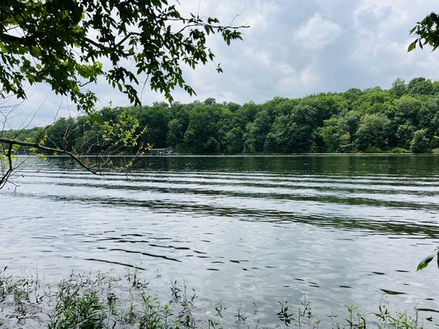 Lot 147 Parrish Ridge Goreville, IL 62939 - Photo 9 of 20