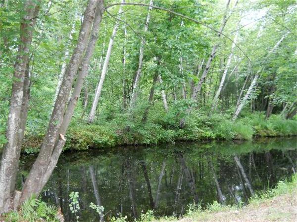 41 East Road Westminster, MA 01473 - Photo 20 of 22 Gallery Image 20