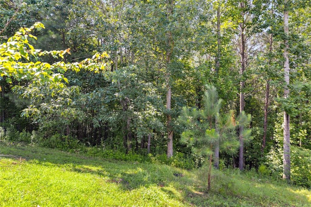 80 Jacob Trail Rockmart, GA 30153 - Photo 22 of 24