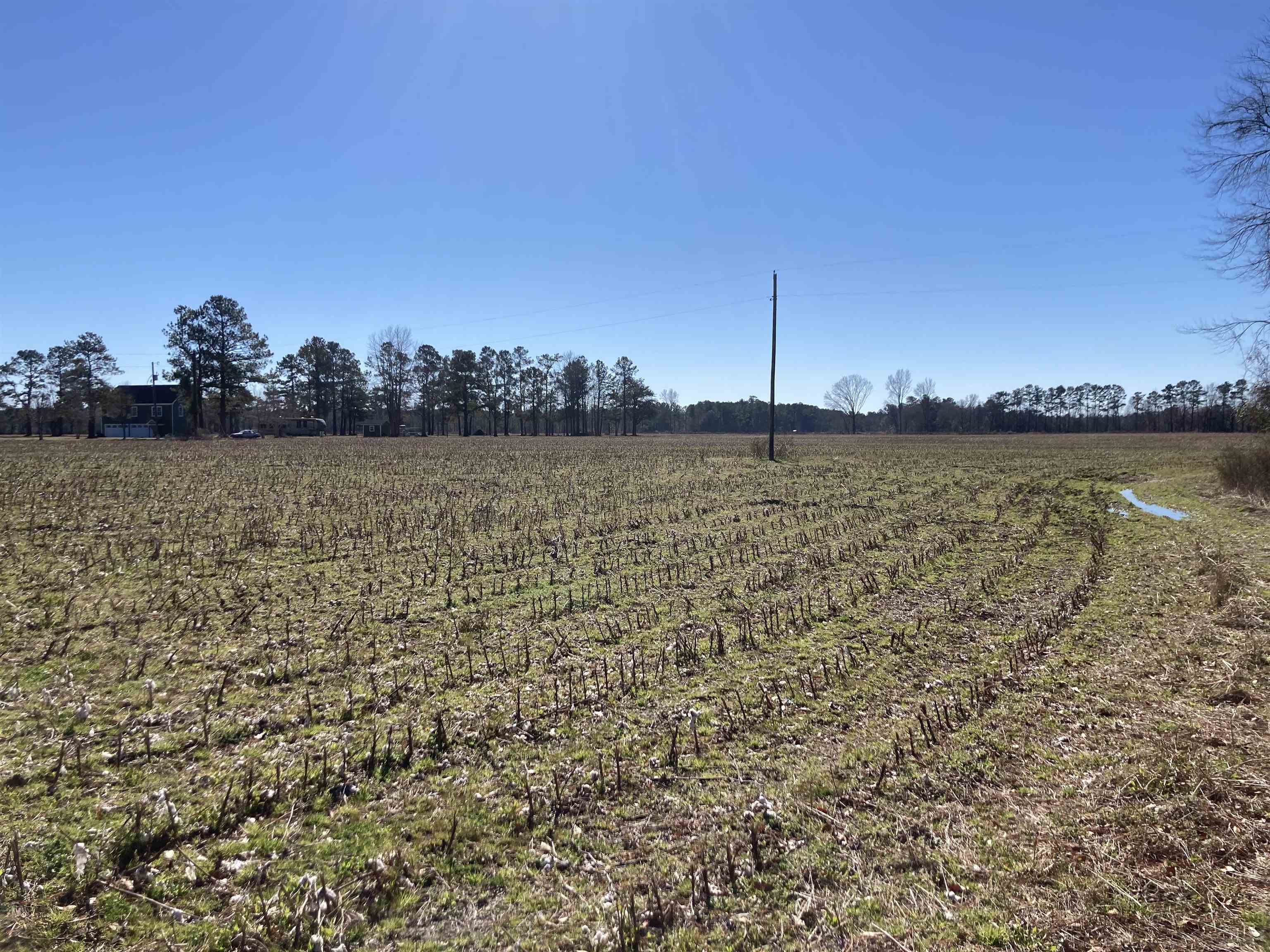 Tbd Cumbie Road Columbia, SC 29209 - Photo 1 of 10