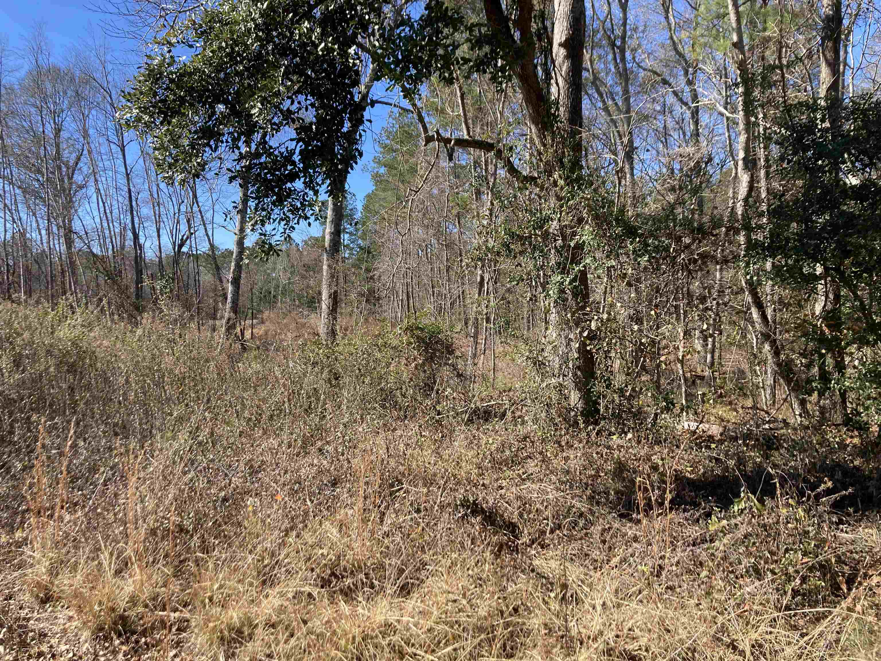 Tbd Cumbie Road Columbia, SC 29209 - Photo 3 of 10