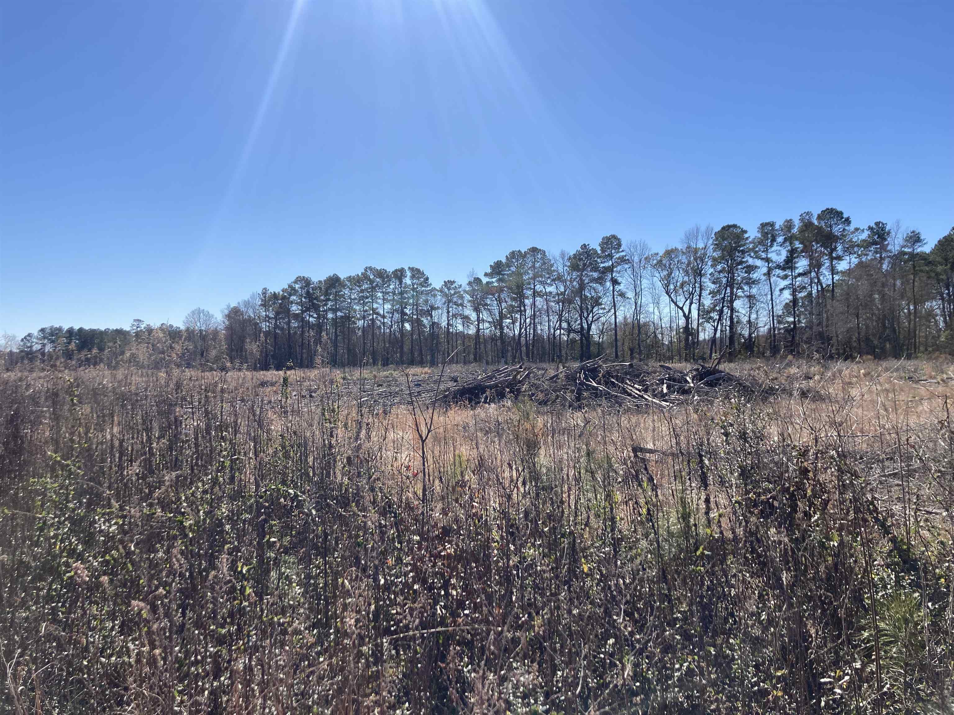 Tbd Cumbie Road Columbia, SC 29209 - Photo 5 of 10