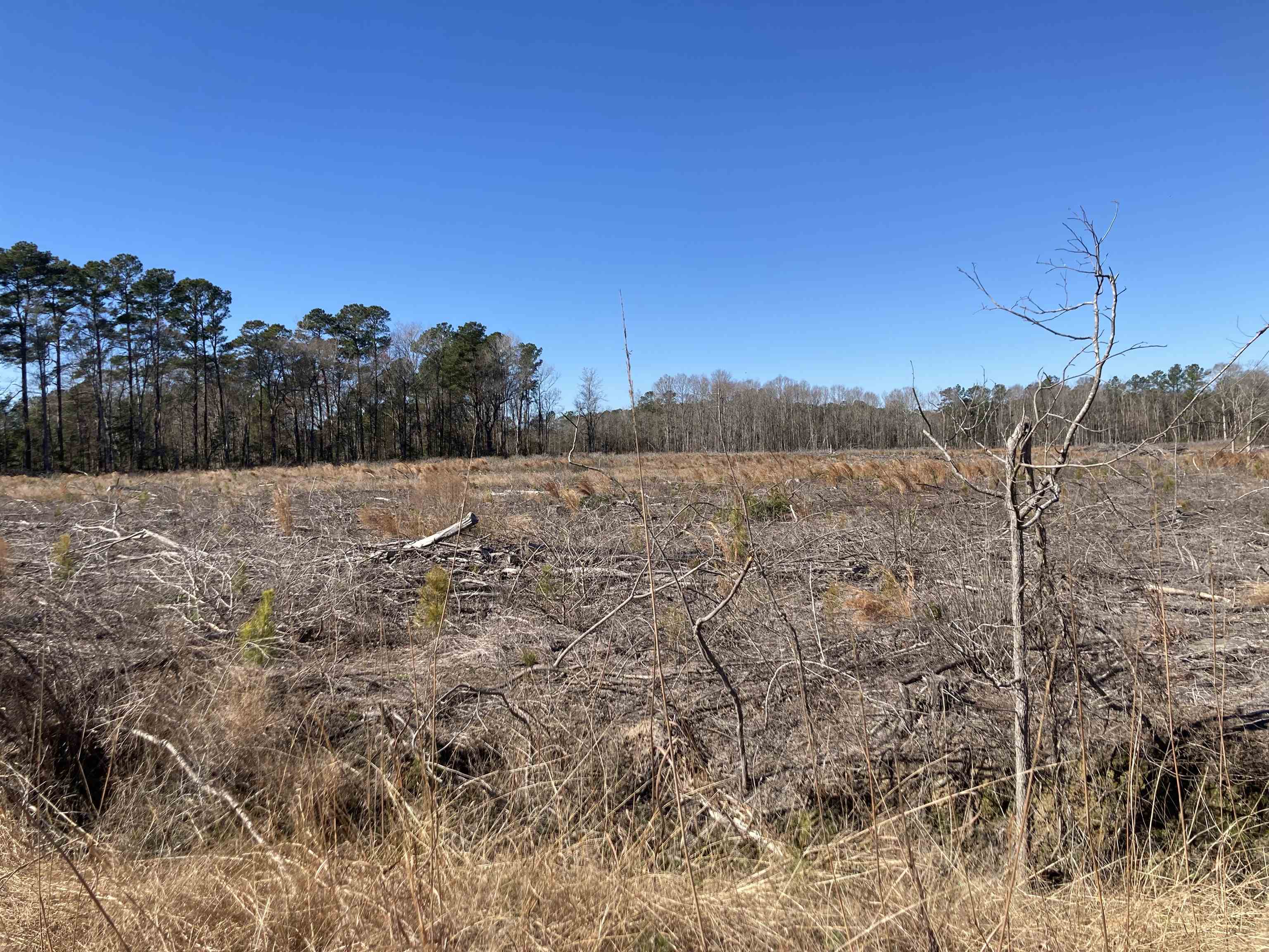 Tbd Cumbie Road Columbia, SC 29209 - Photo 7 of 10