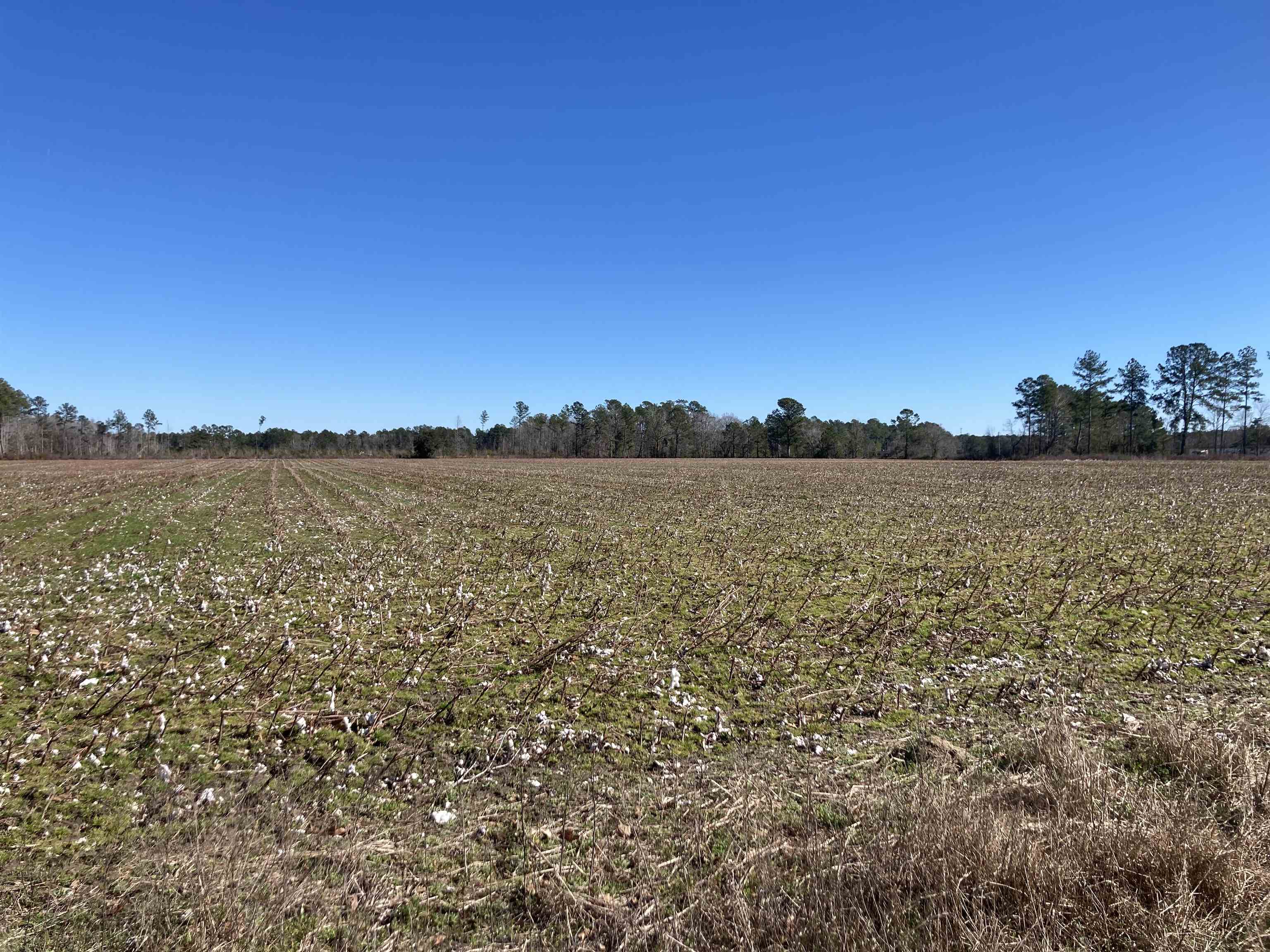 Tbd Cumbie Road Columbia, SC 29209 - Photo 8 of 10
