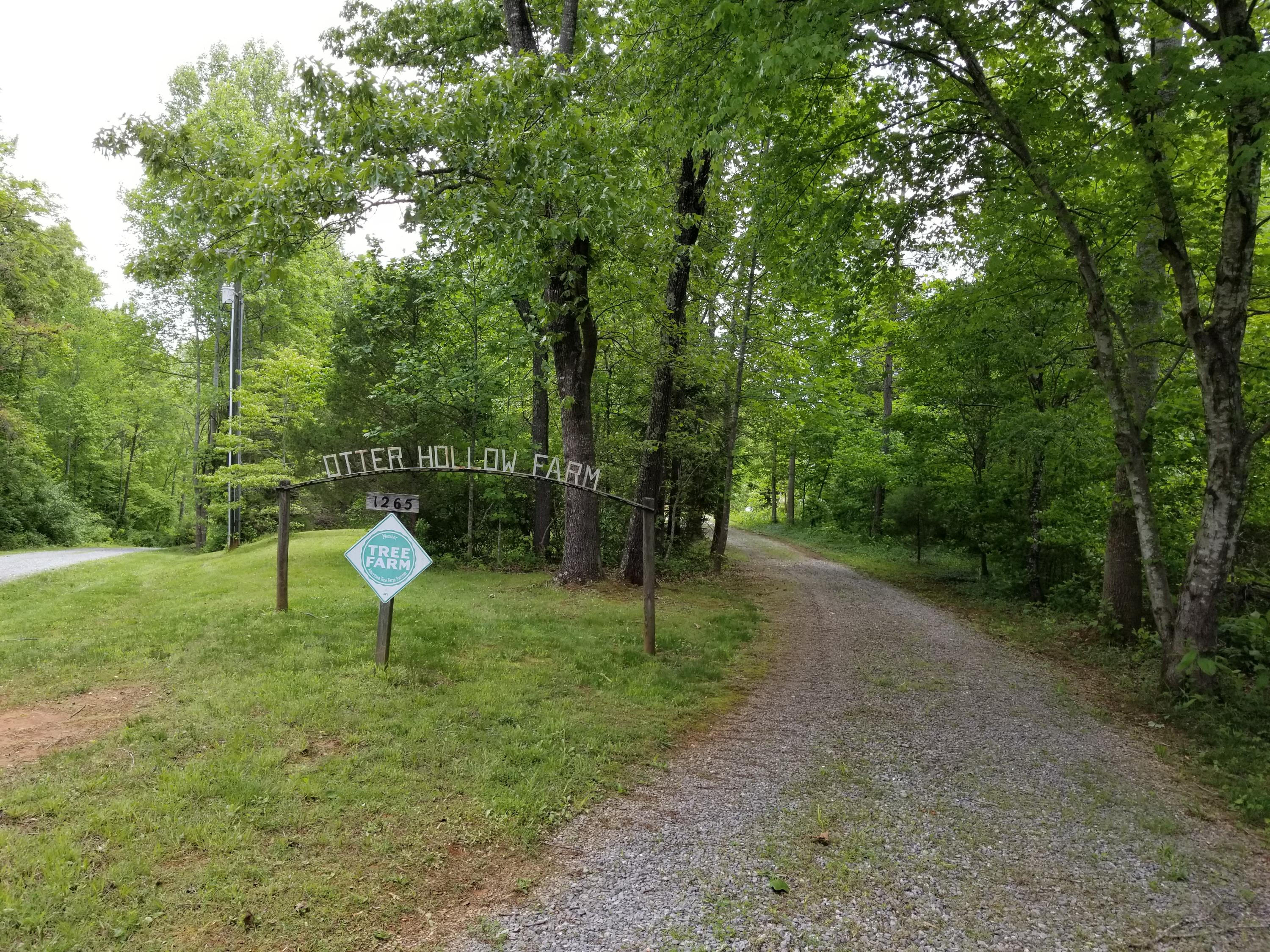 1265 Equine Ridge Road Bedford, VA 24523 - Photo 2 of 75 Coming home