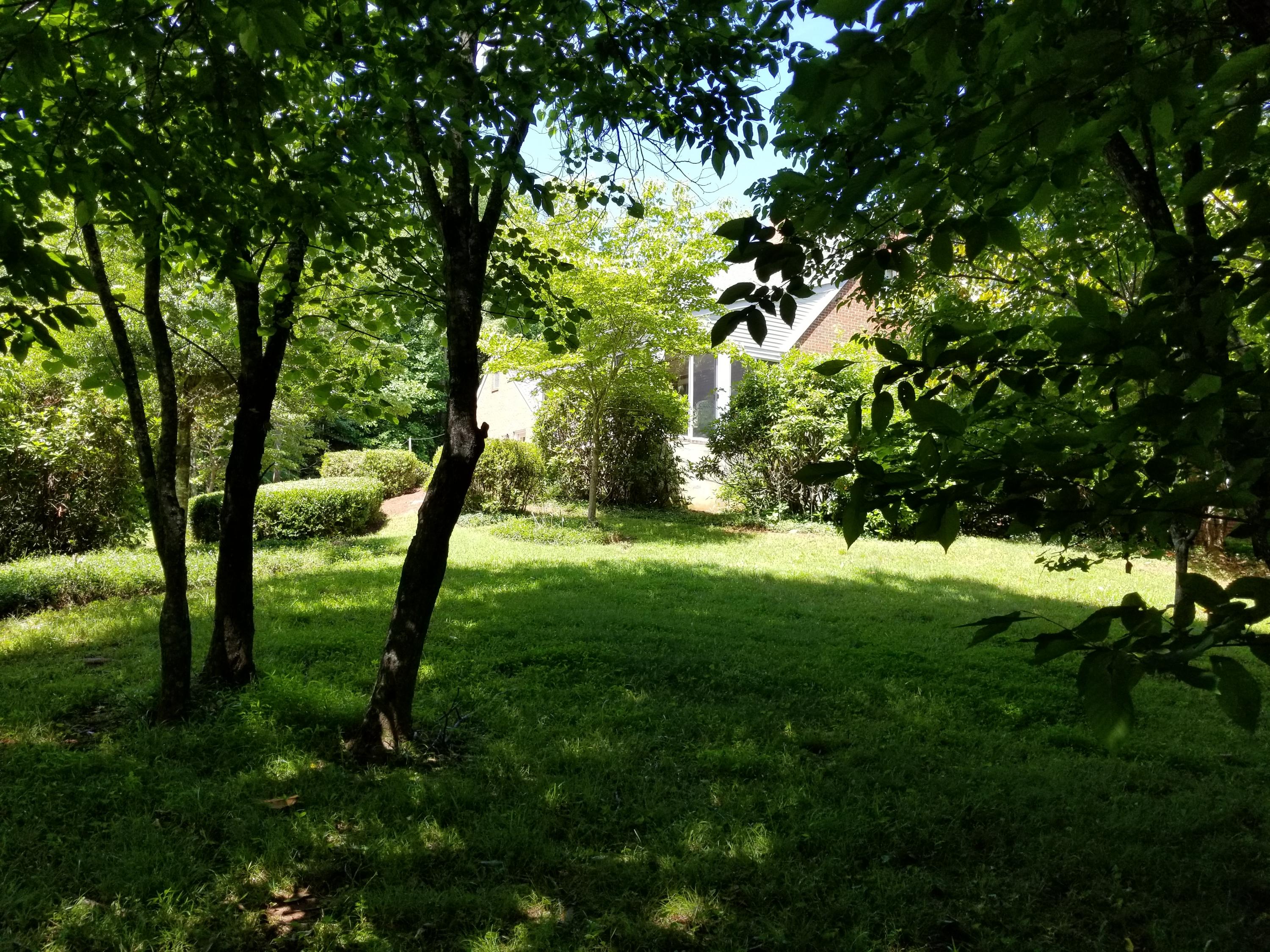 1265 Equine Ridge Road Bedford, VA 24523 - Photo 23 of 75 Shady side yard