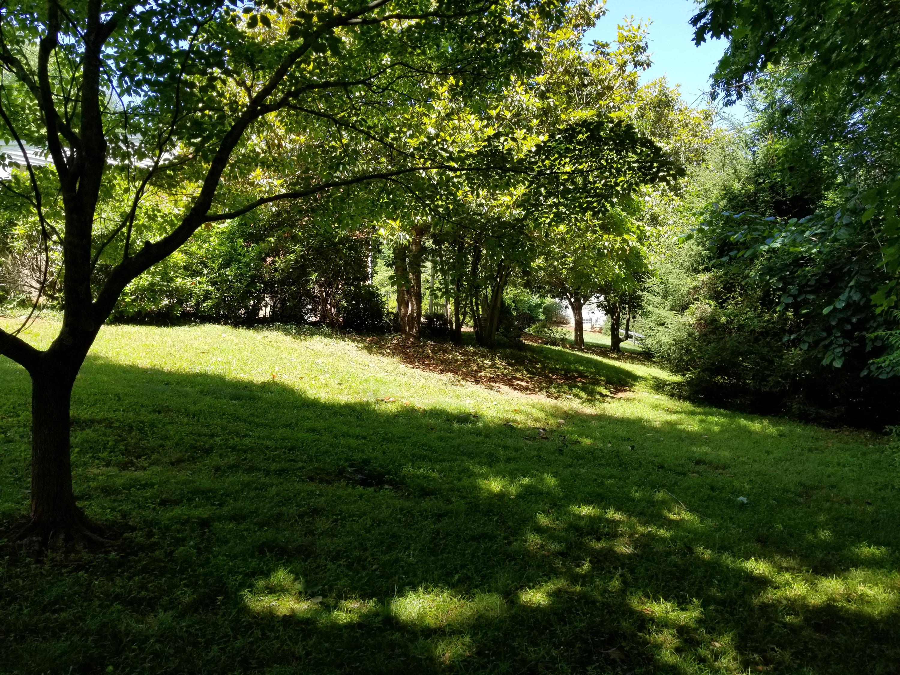 1265 Equine Ridge Road Bedford, VA 24523 - Photo 24 of 75 Cool spot to relax