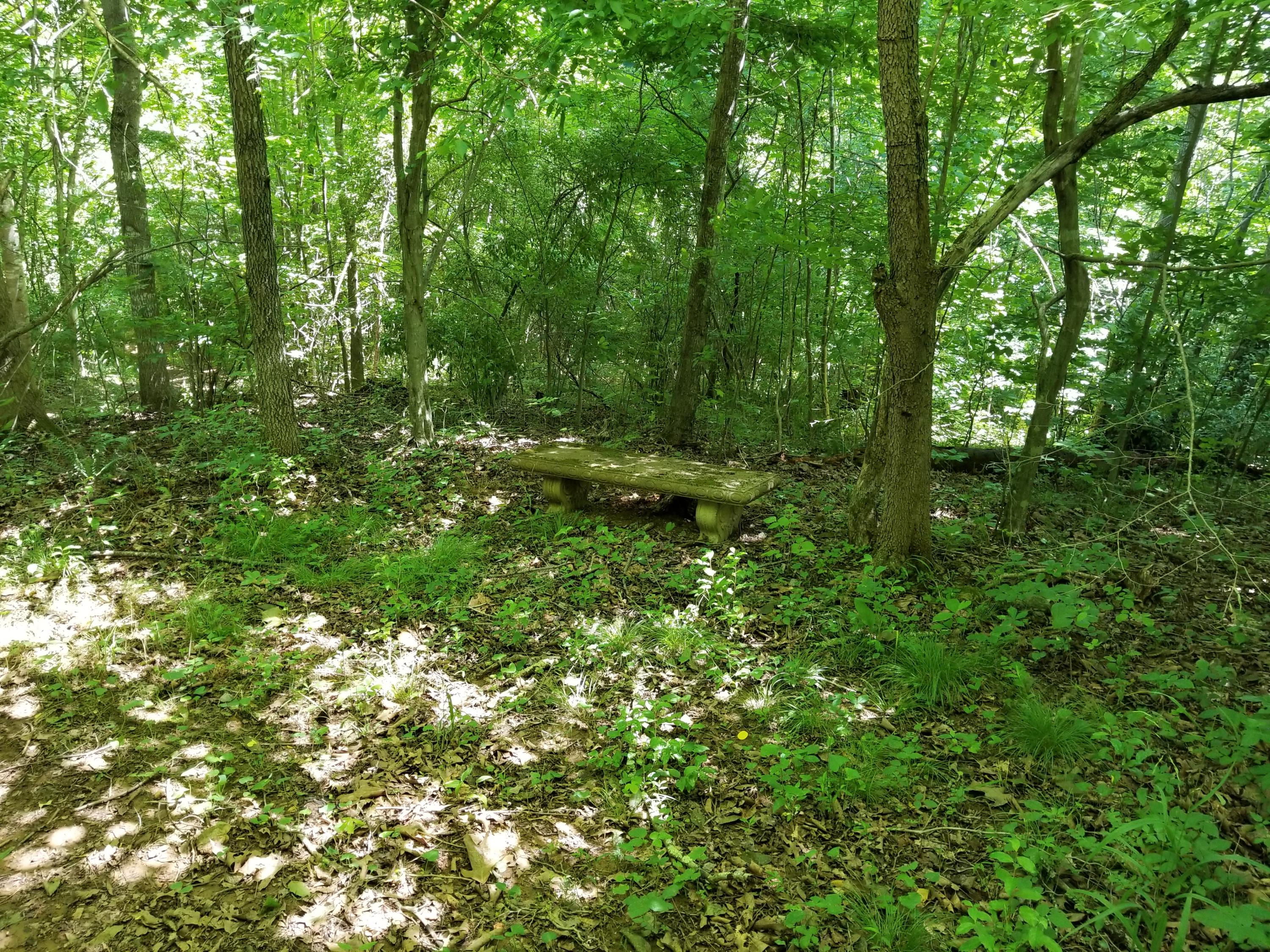 1265 Equine Ridge Road Bedford, VA 24523 - Photo 32 of 75 Bench toward the river
