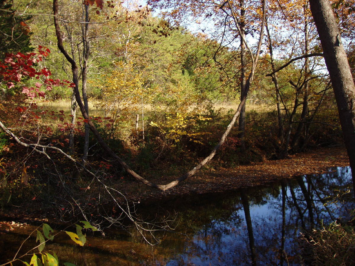 1265 Equine Ridge Road Bedford, VA 24523 - Photo 34 of 75 River 1