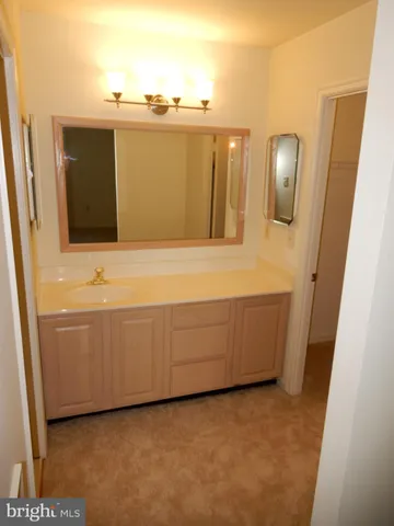 a view of a forest with a tree