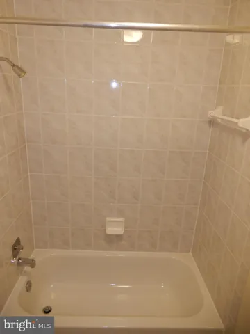 a view of a forest filled with trees