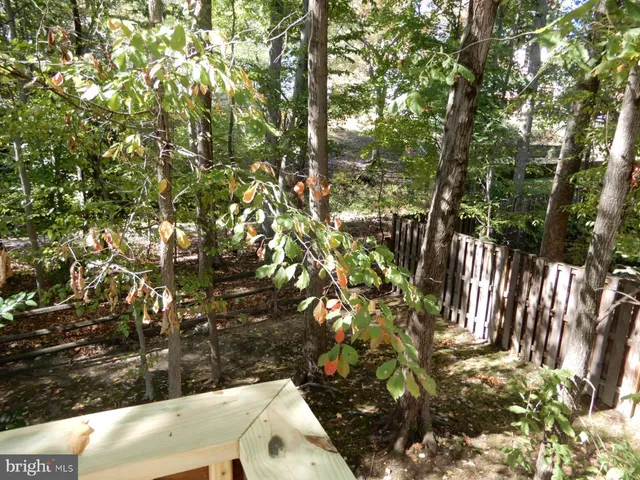 a front view of house with yard and trees around