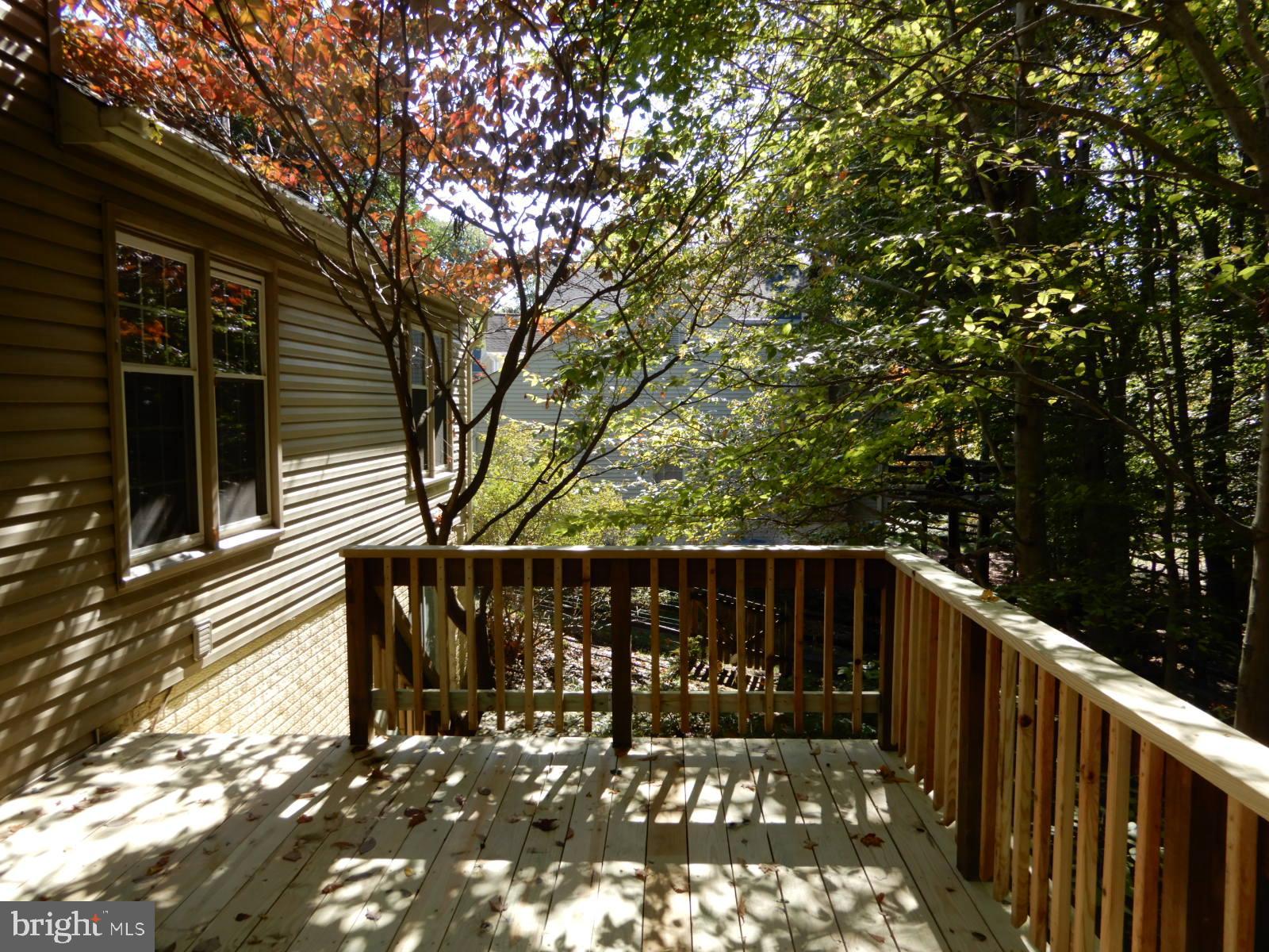 7014 Maple Tree Lane Springfield, VA 22152 - Photo 51 of 56 a view of deck with wooden fence and large trees
