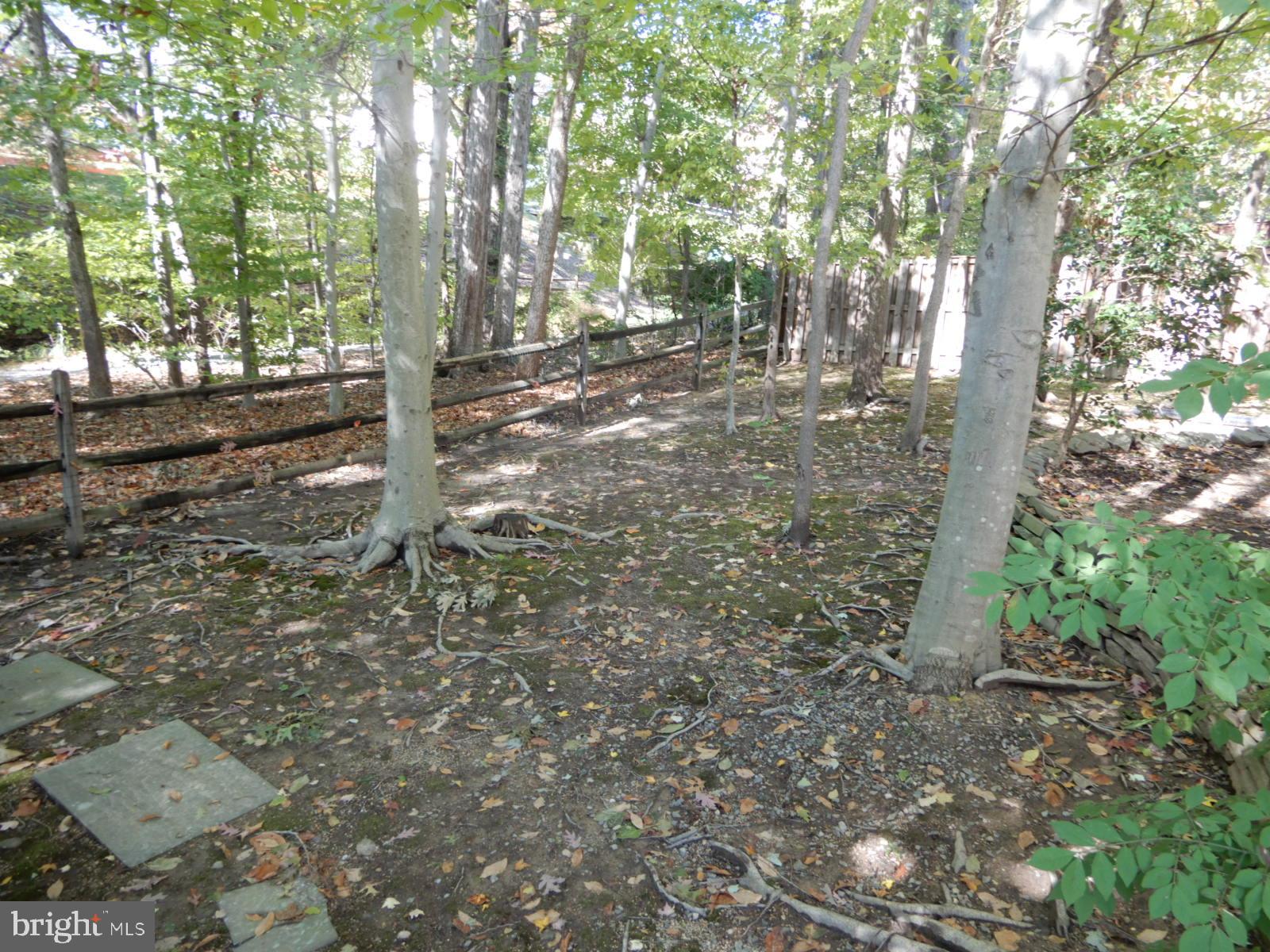 7014 Maple Tree Lane Springfield, VA 22152 - Photo 54 of 56 a backyard of a house with lots of green space