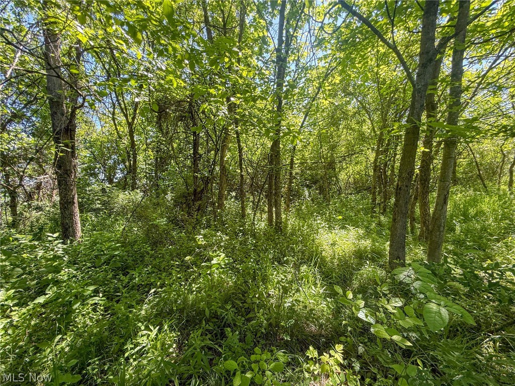 Lot 2 Altamont Road Mingo Junction, OH 43938 - Photo 16 of 26 Gallery Image 16