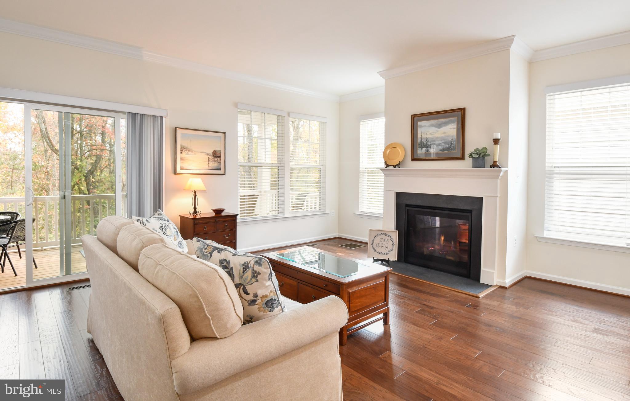 12413 Ruby Red Drive Fredericksburg, VA 22407 - Photo 20 of 54 Lots of windows to let in natural light.