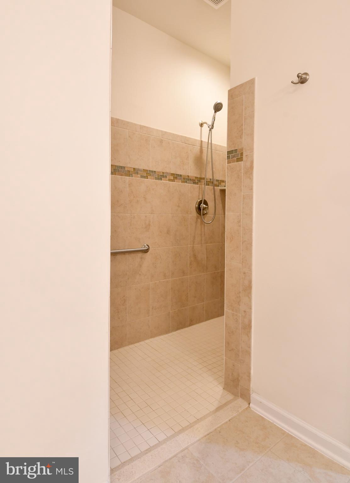 12413 Ruby Red Drive Fredericksburg, VA 22407 - Photo 26 of 54 Walk in shower w/ grab bars & accent tile