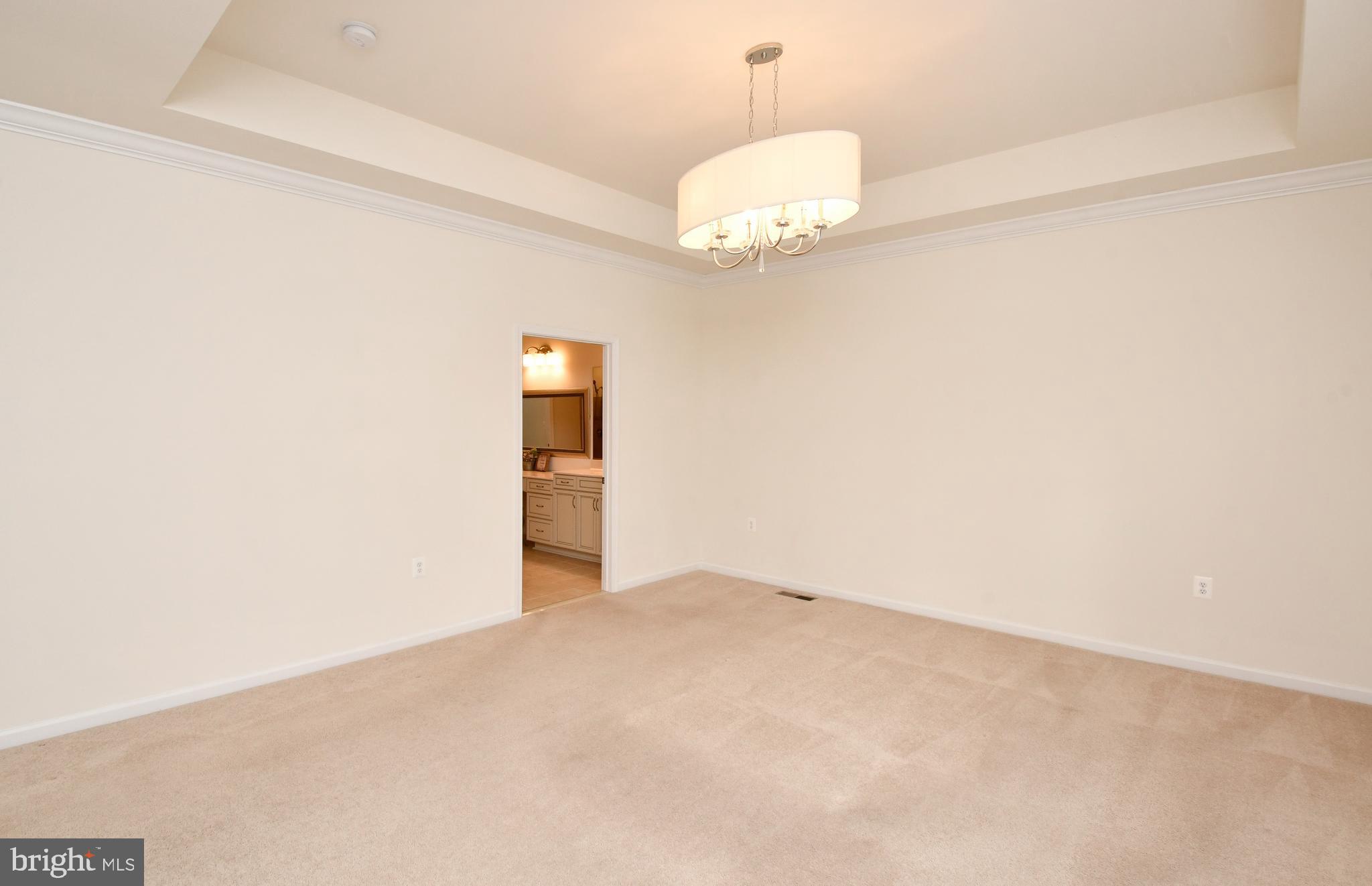 12413 Ruby Red Drive Fredericksburg, VA 22407 - Photo 29 of 54 Tray ceiling w/ modern light in primary bedroom
