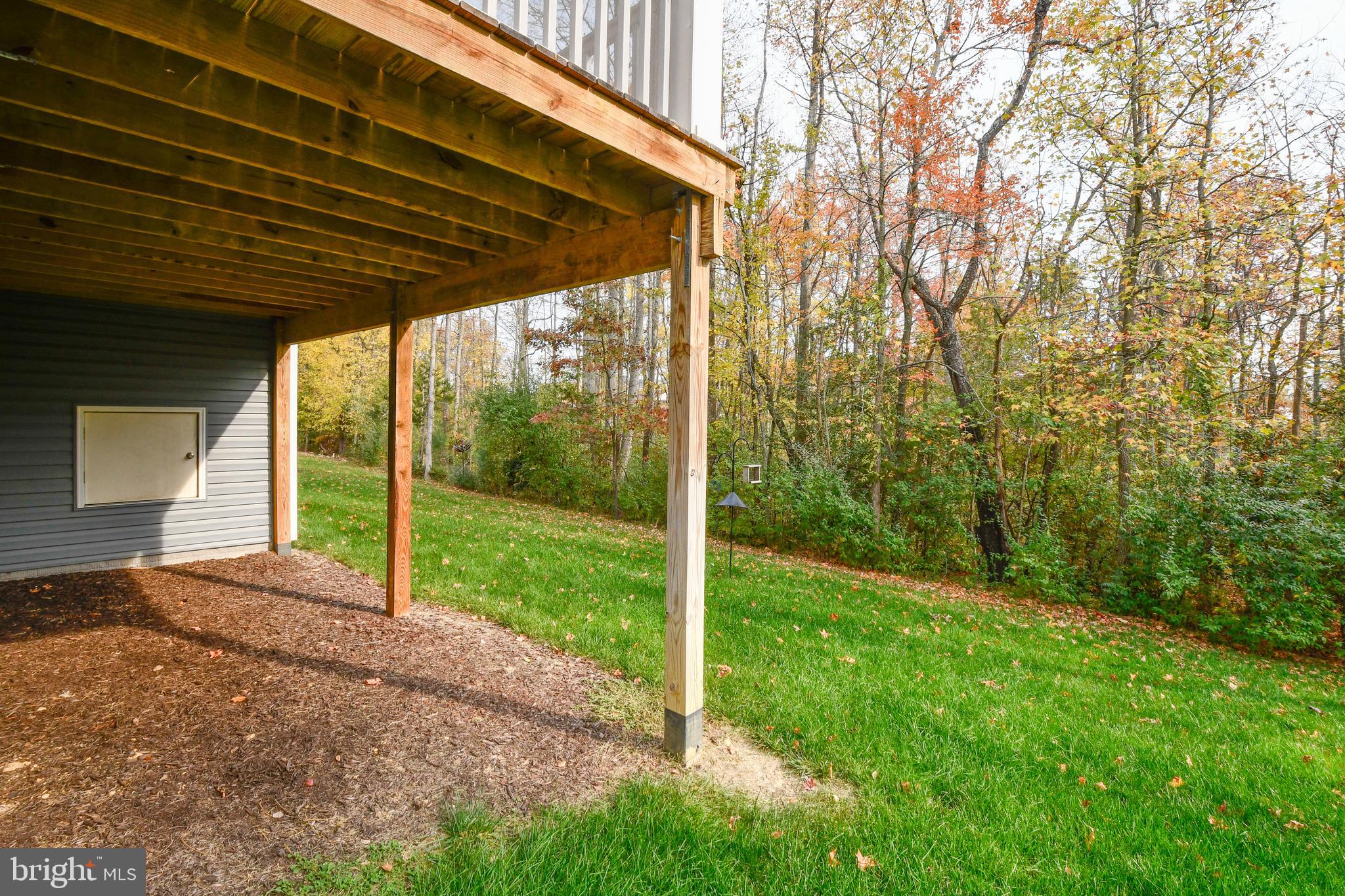 12413 Ruby Red Drive Fredericksburg, VA 22407 - Photo 45 of 54 Backs to woods