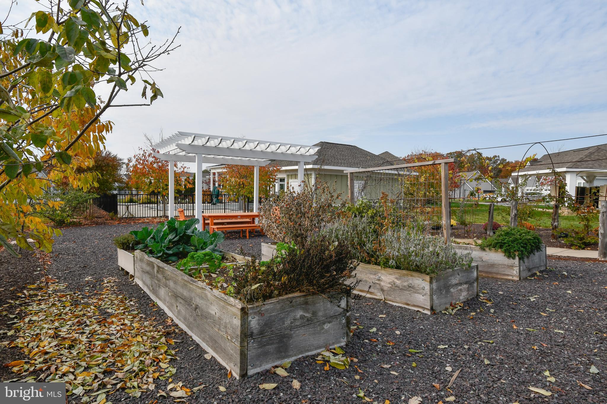 12413 Ruby Red Drive Fredericksburg, VA 22407 - Photo 53 of 54 Community raised pocket garden- lovely in summer