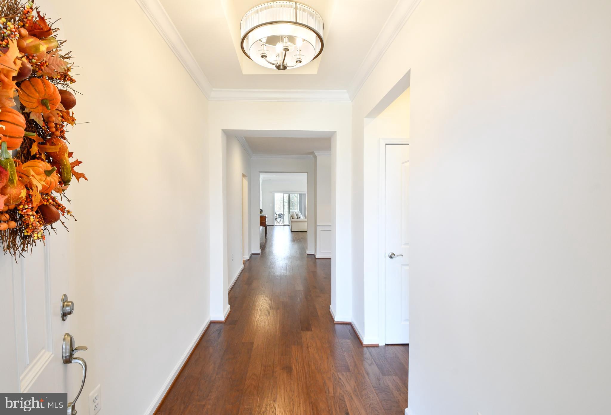 12413 Ruby Red Drive Fredericksburg, VA 22407 - Photo 6 of 54 Tray ceiling & hardwood flooring in foyer
