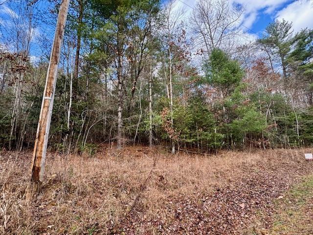 9 Timberline Road Murphy, NC 28906 - Photo 2 of 6