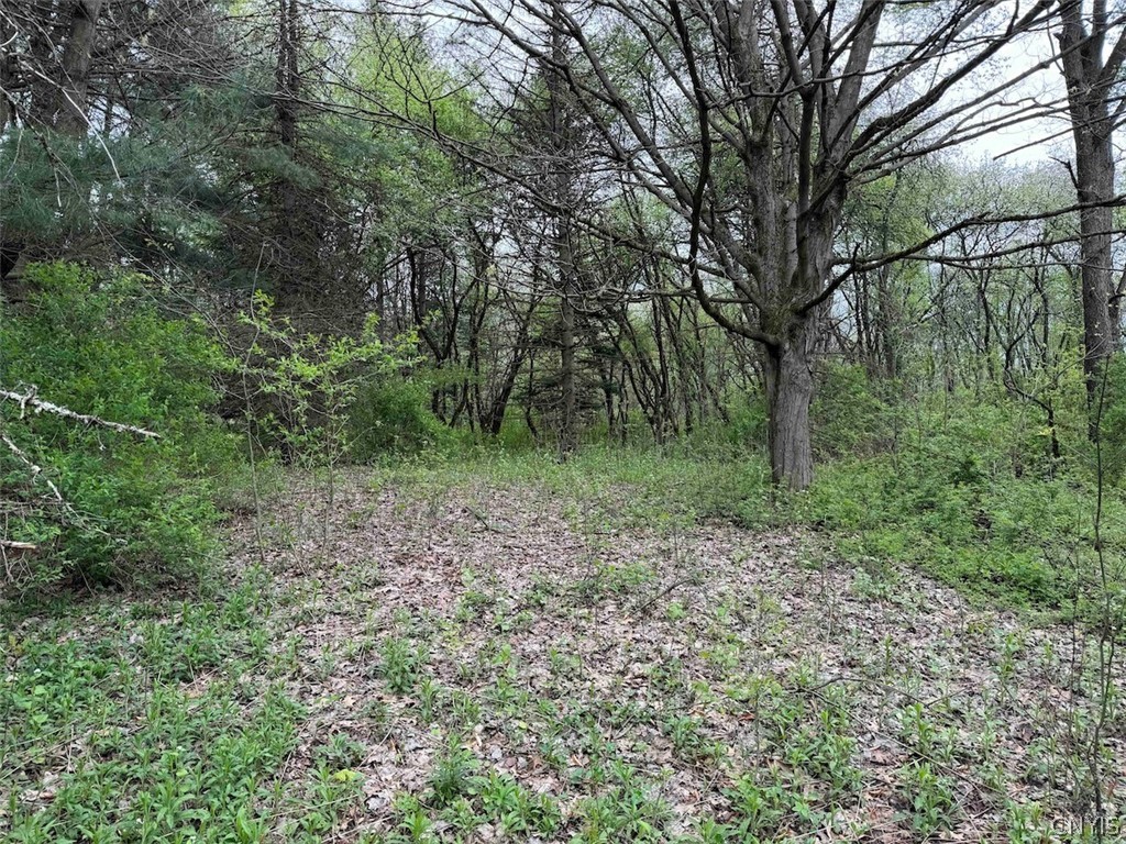Youngs Road Conewango Valley, NY 14726 - Photo 15 of 32 Gallery Image 15