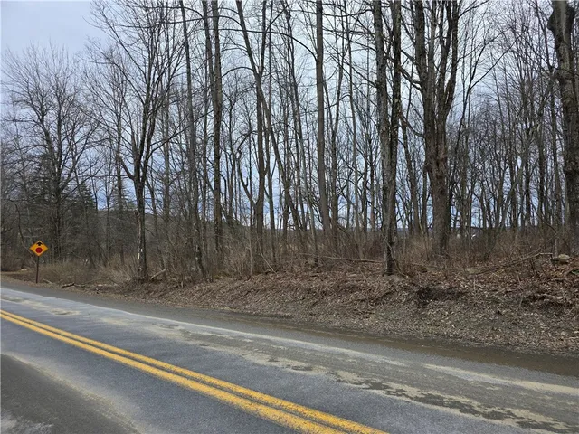 $72,000 | 137 County Road 47, Pharsalia, NY 13815