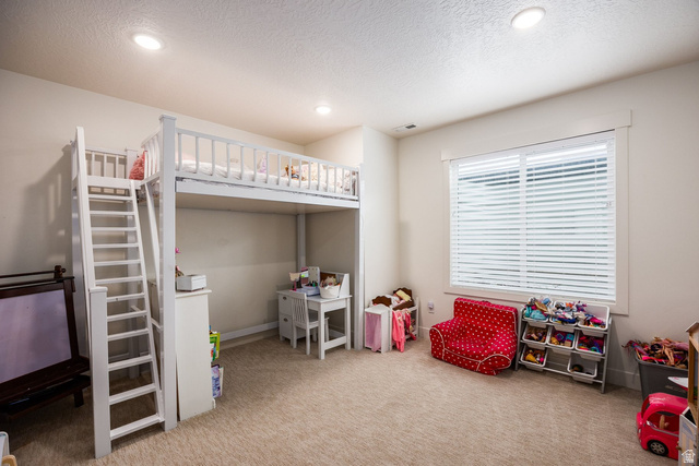 594 East 1000th Street North Mapleton, UT 84664 - Photo 41 of 75