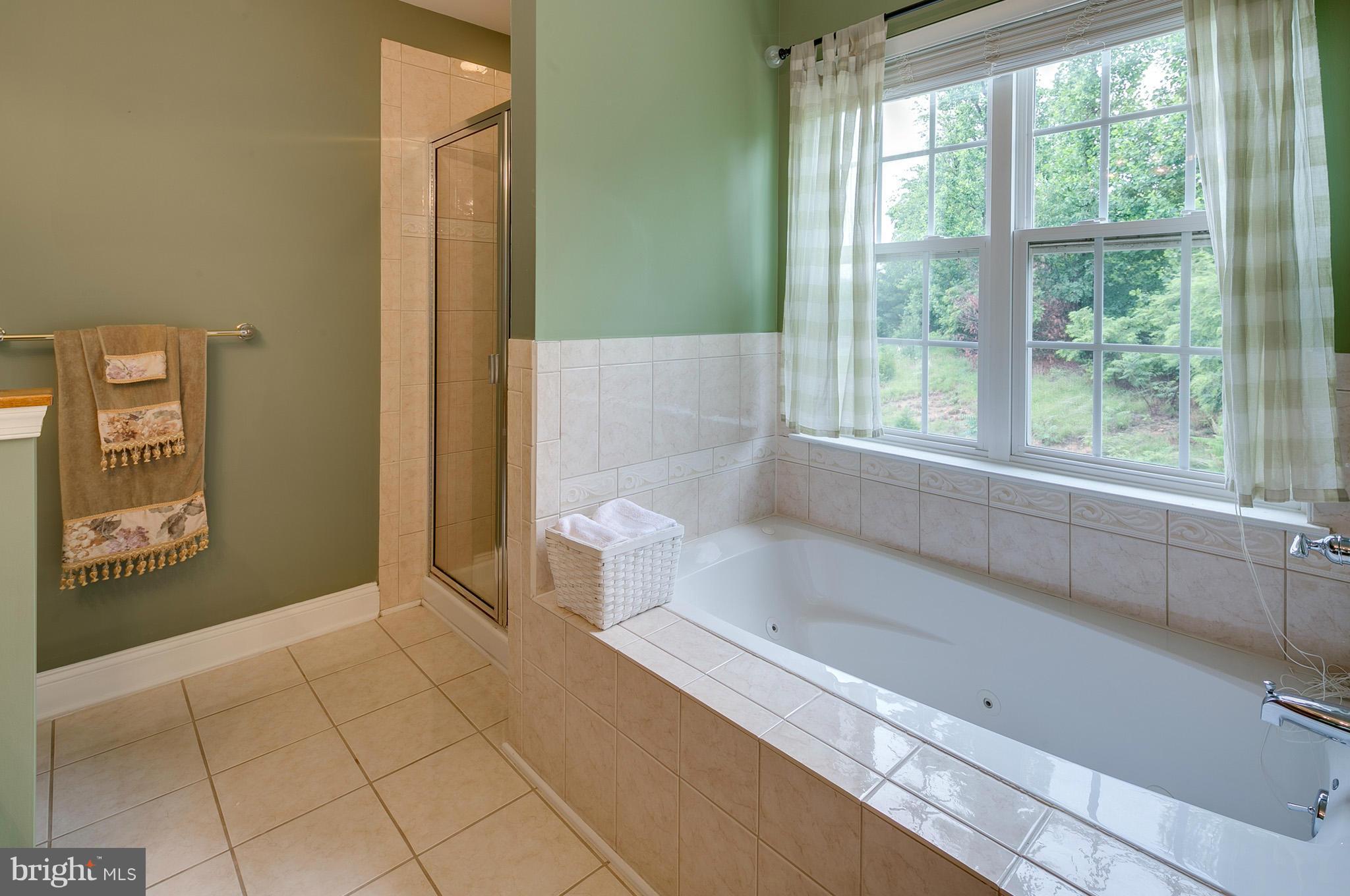5905 Fairlee Road Elkridge, MD 21075 - Photo 22 of 30 MBA w/soaking tub and separate shower