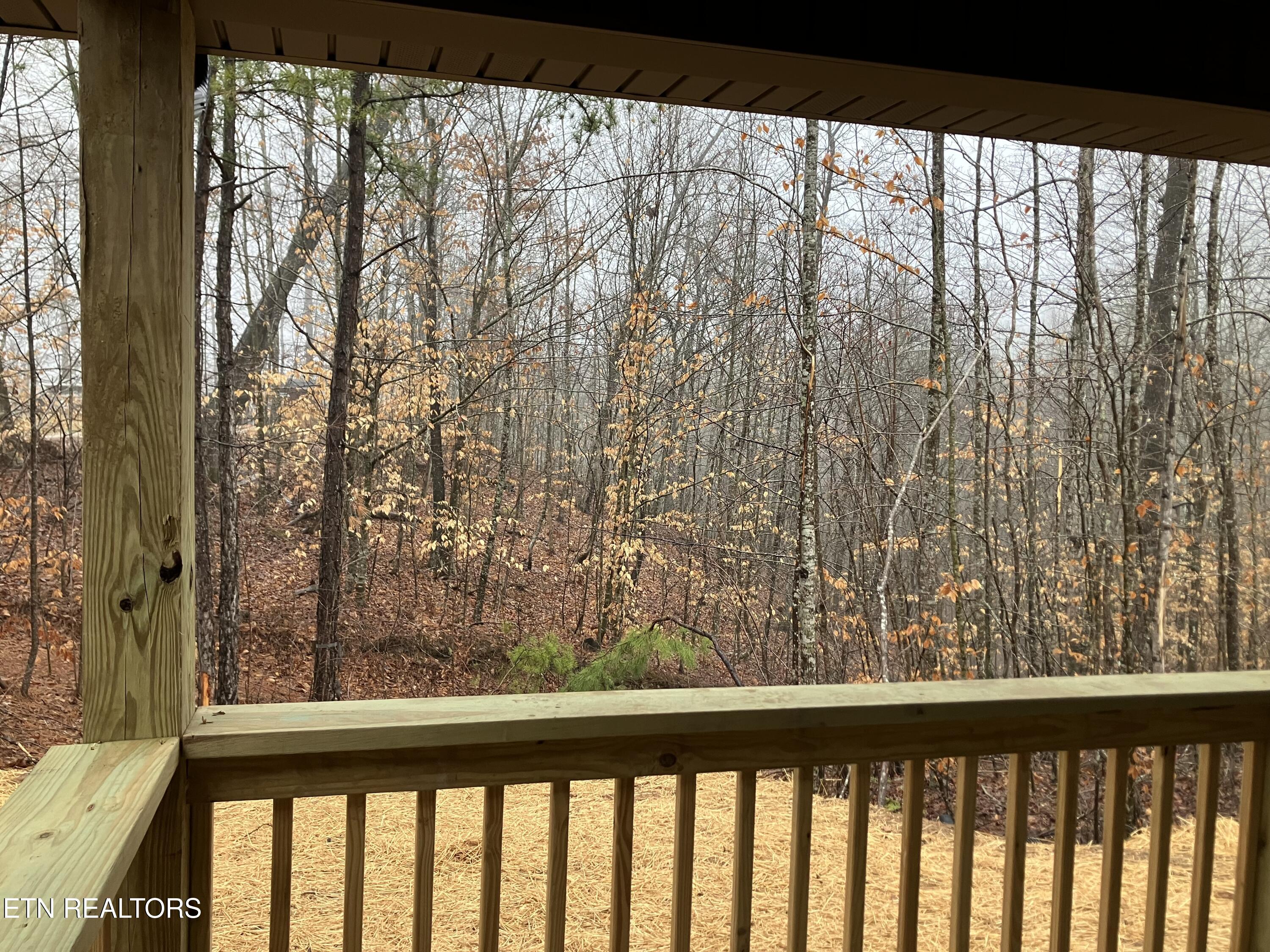 329 Timber Creek Road Maynardville, TN 37807 - Photo 10 of 41 IMG_5741