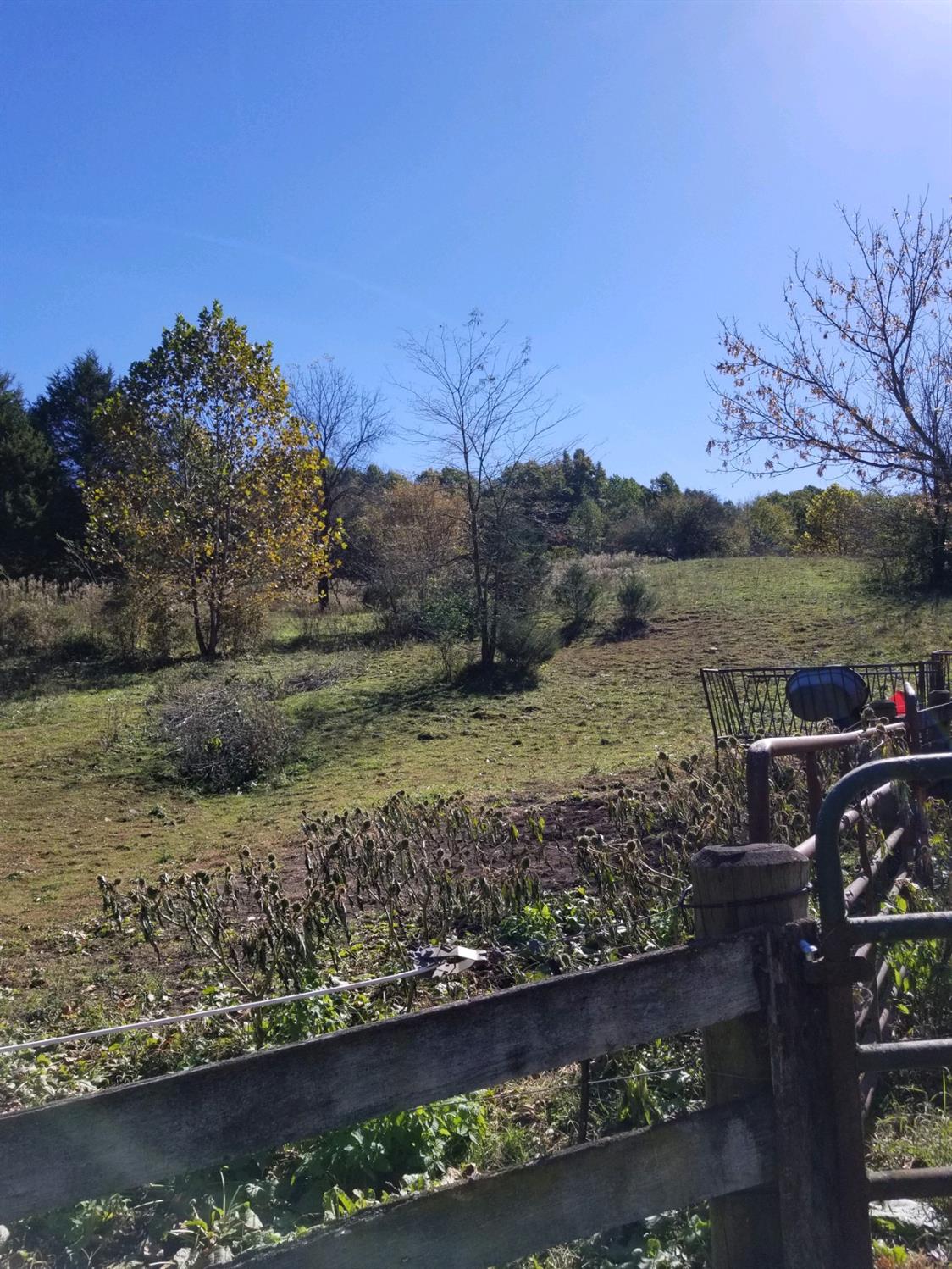 43 Snail Creek Road Brookville, IN 47012 - Photo 12 of 16