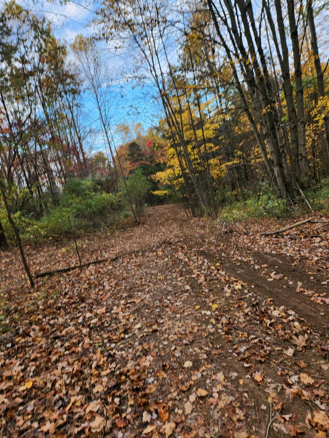 43 Snail Creek Road Brookville, IN 47012 - Photo 13 of 16