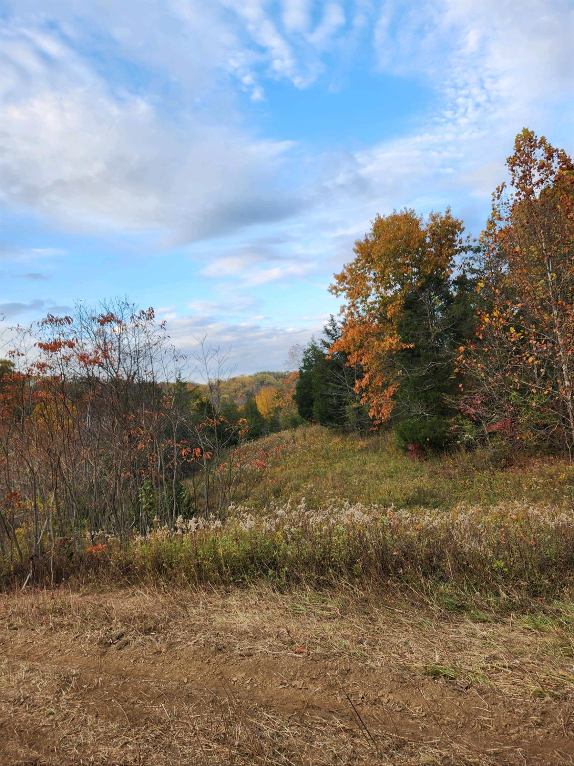 43 Snail Creek Road Brookville, IN 47012 - Photo 14 of 16