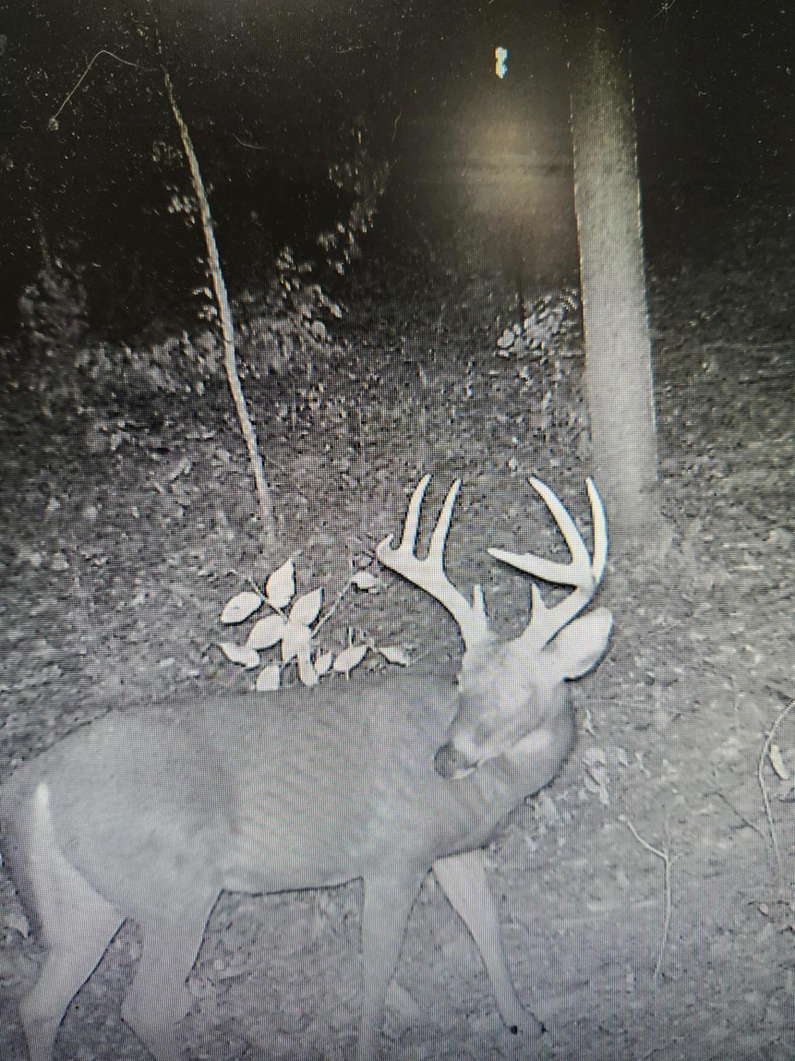 43 Snail Creek Road Brookville, IN 47012 - Photo 16 of 16