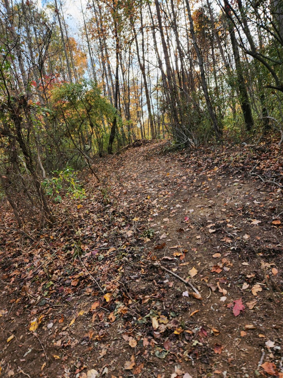 43 Snail Creek Road Brookville, IN 47012 - Photo 3 of 16