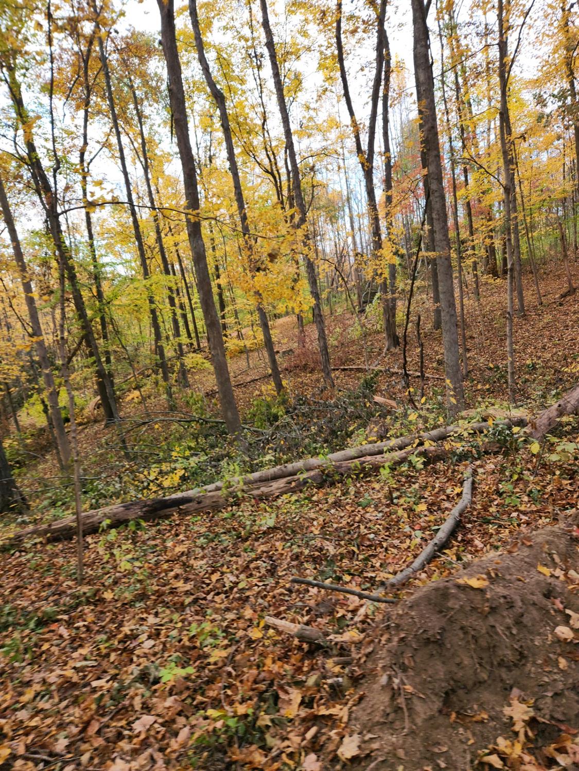 43 Snail Creek Road Brookville, IN 47012 - Photo 5 of 16