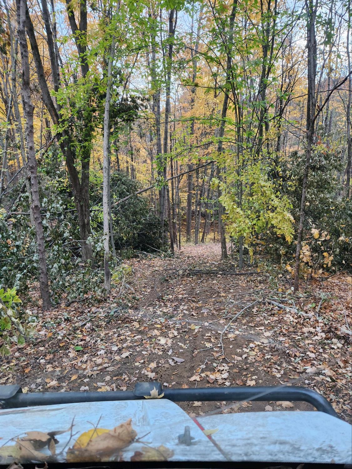 43 Snail Creek Road Brookville, IN 47012 - Photo 6 of 16