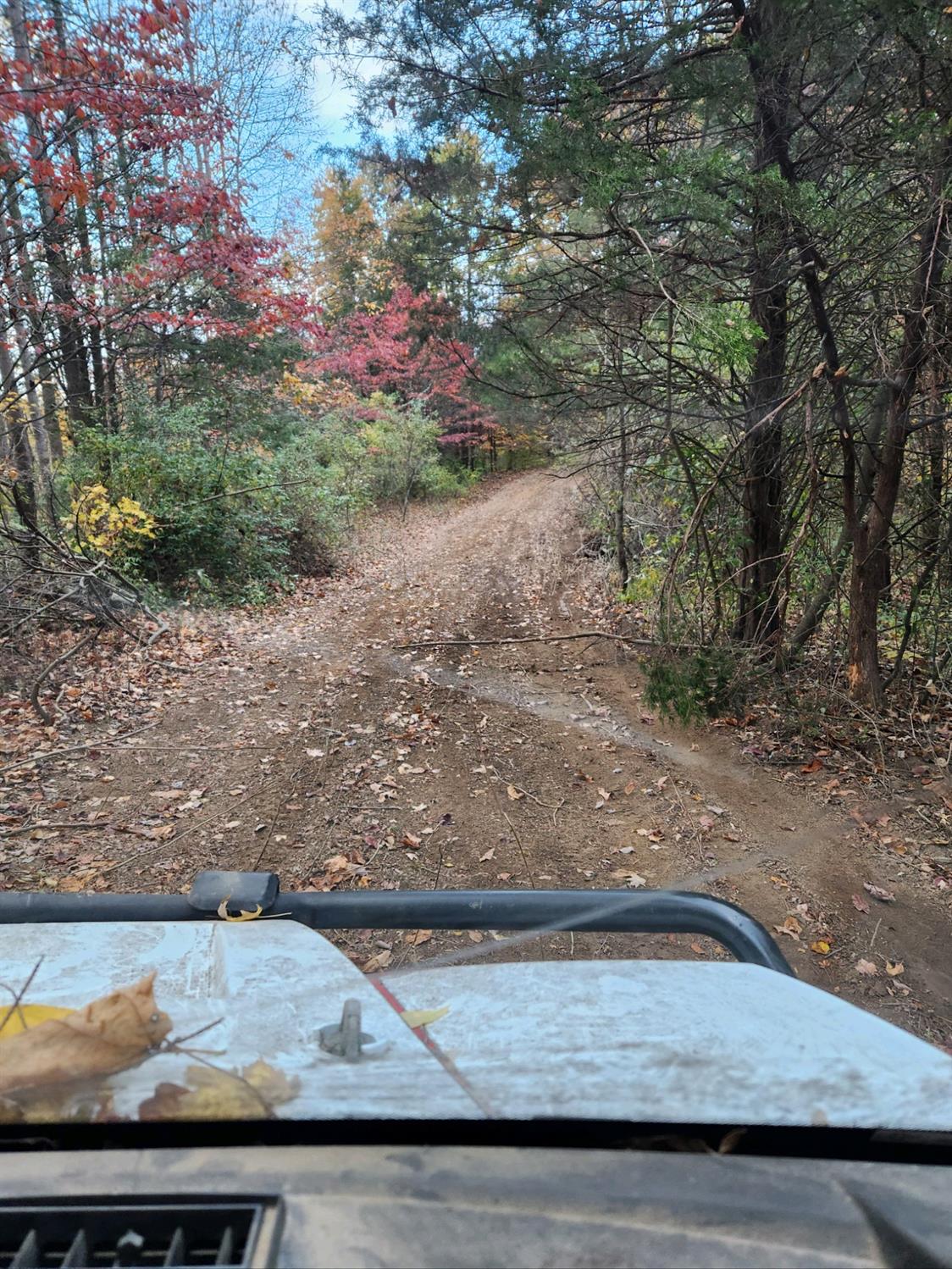 43 Snail Creek Road Brookville, IN 47012 - Photo 7 of 16