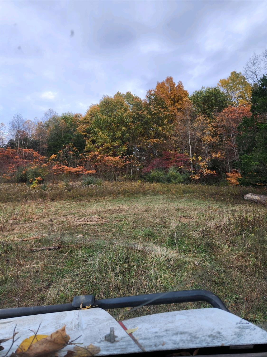 43 Snail Creek Road Brookville, IN 47012 - Photo 8 of 16