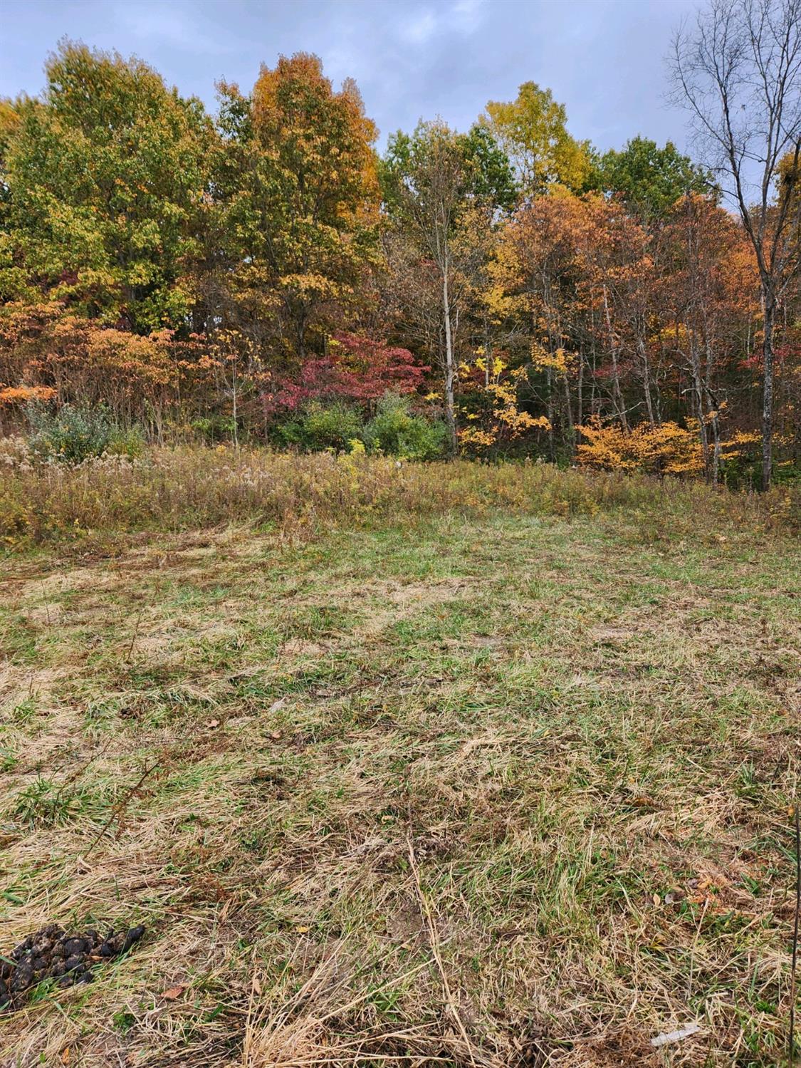 43 Snail Creek Road Brookville, IN 47012 - Photo 9 of 16