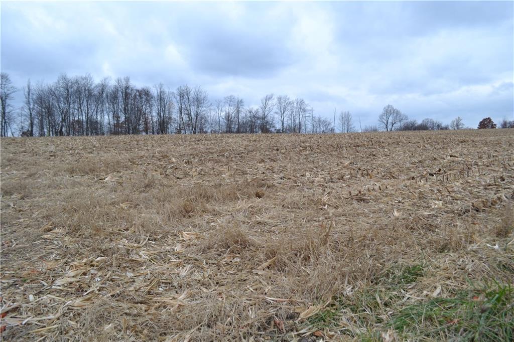 Lot 4 Ridge Road Apollo, PA 15613 - Photo 2 of 15 a view of a dry yard with trees in the background