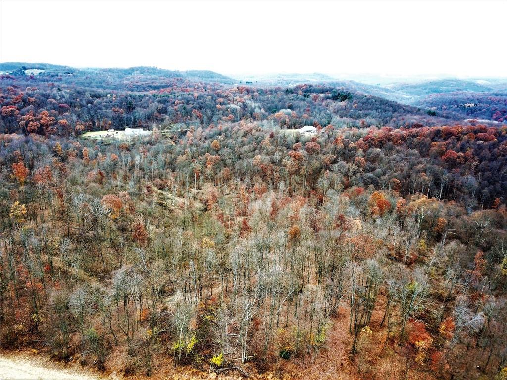 Lot 4 Ridge Road Apollo, PA 15613 - Photo 15 of 15 an aerial view of residential houses and outdoor space