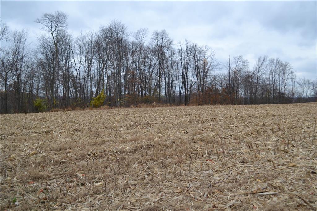 Lot 4 Ridge Road Apollo, PA 15613 - Photo 4 of 15 a view of a yard with trees